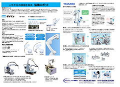 2024年11月のお買い得チラシ